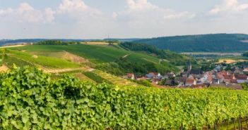 Vielfältige Genüsse: Entdecken Sie die farbenfrohe Weinkultur im "Lieblichen (Foto: TLT/Thomas Weller)